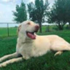 Meet your Posher, Princess